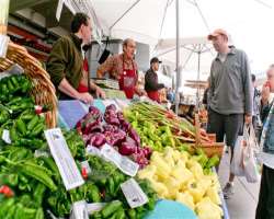 The market is search of the people who are in love with ethnic cuisines and love to explore new food dishes every now and then. The market is satisfyi
